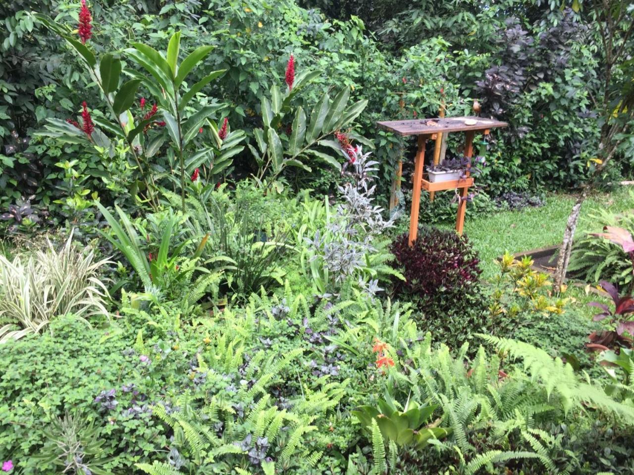 Casa Arariba - Ilha Grande - إلها غراندي المظهر الخارجي الصورة
