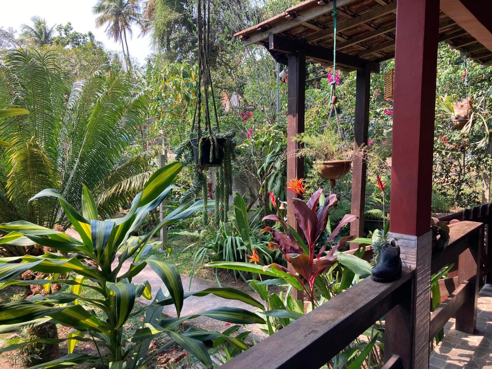 Casa Arariba - Ilha Grande - إلها غراندي المظهر الخارجي الصورة