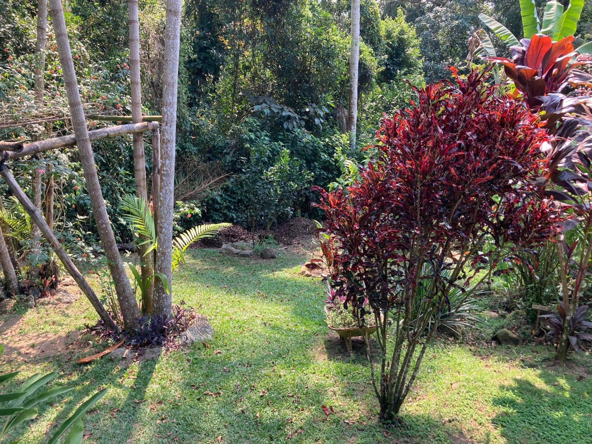 Casa Arariba - Ilha Grande - إلها غراندي المظهر الخارجي الصورة