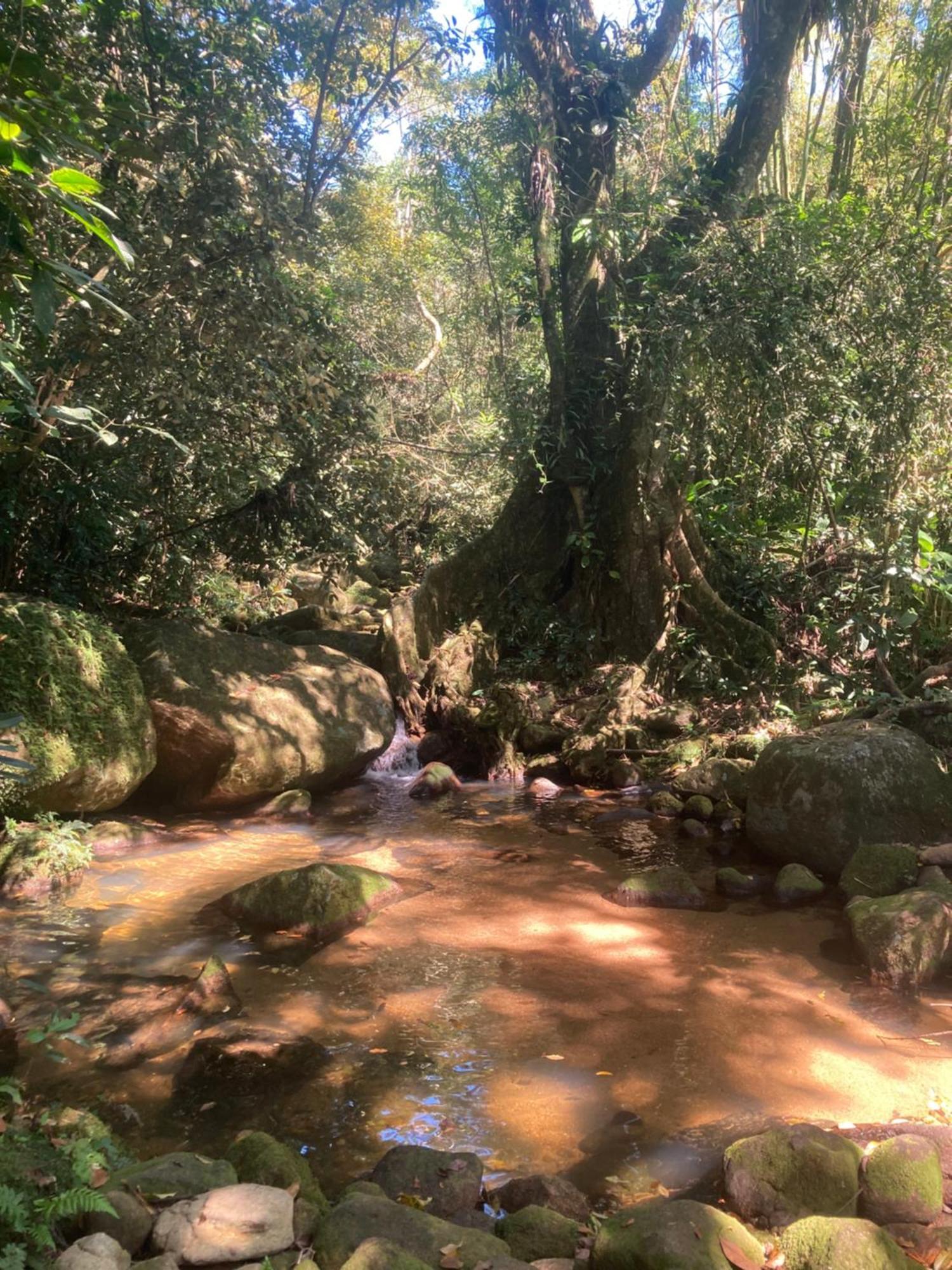 Casa Arariba - Ilha Grande - إلها غراندي المظهر الخارجي الصورة